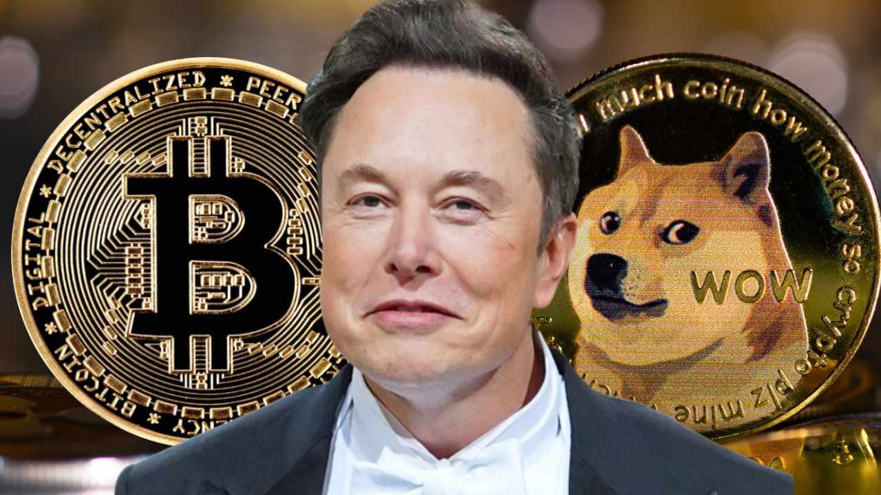 doge coin